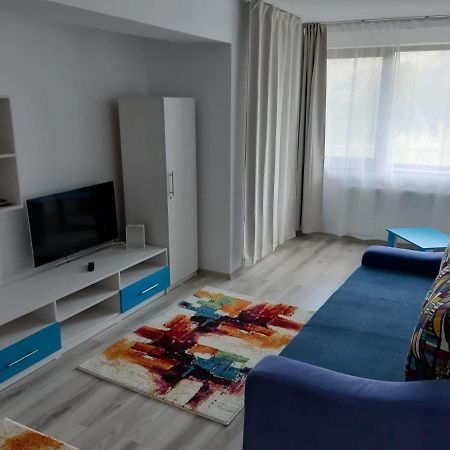 Appartamento Dorin Colina Marei Sinaia Esterno foto