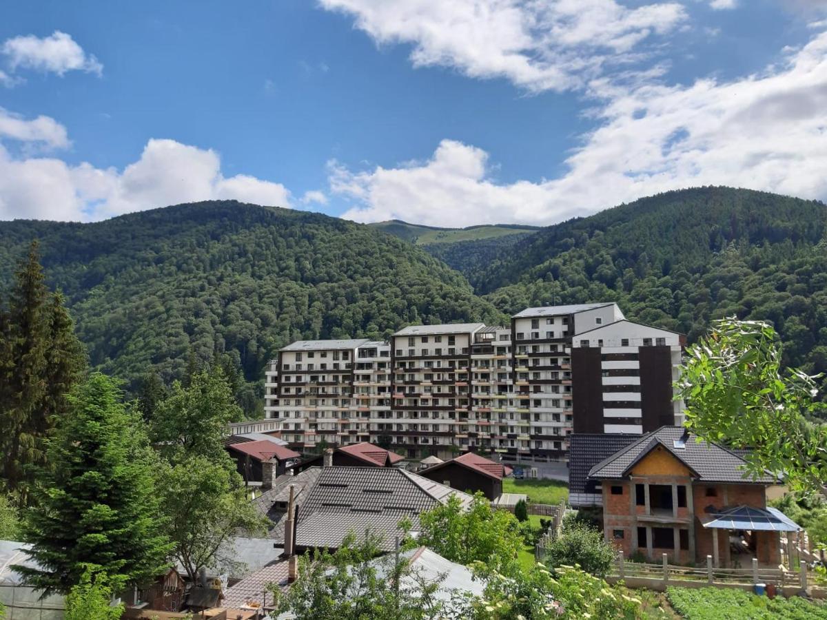 Appartamento Dorin Colina Marei Sinaia Esterno foto